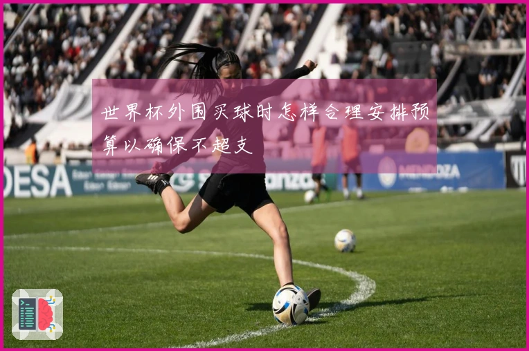世界杯外围买球时怎样合理安排预算以确保不超支
