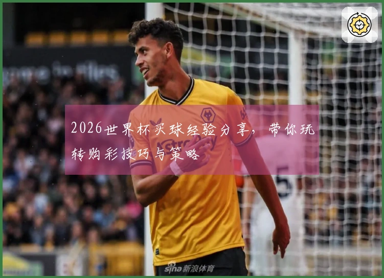 2026世界杯买球经验分享，带你玩转购彩技巧与策略