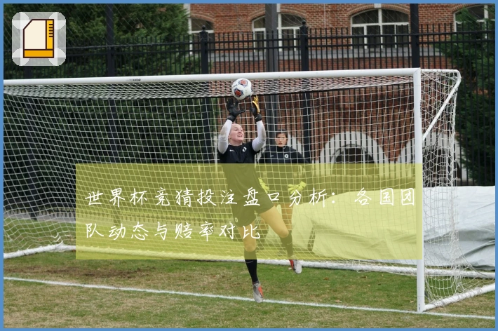 世界杯竞猜投注盘口分析：各国团队动态与赔率对比
