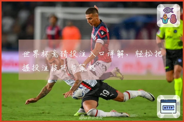 世界杯竞猜投注入口详解，轻松把握投注技巧与策略