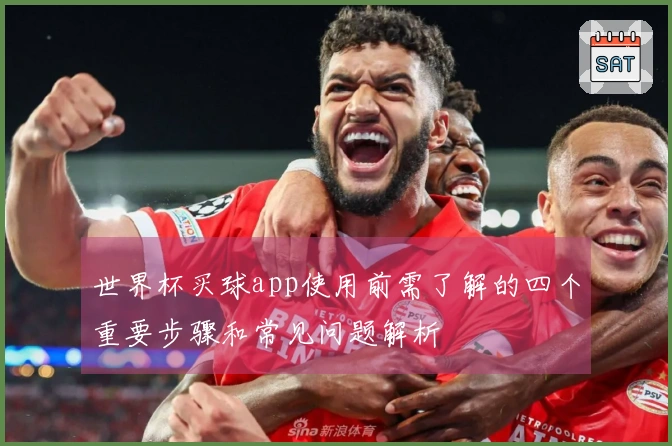 世界杯买球app使用前需了解的四个重要步骤和常见问题解析