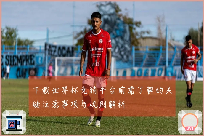 下载世界杯竞猜平台前需了解的关键注意事项与规则解析