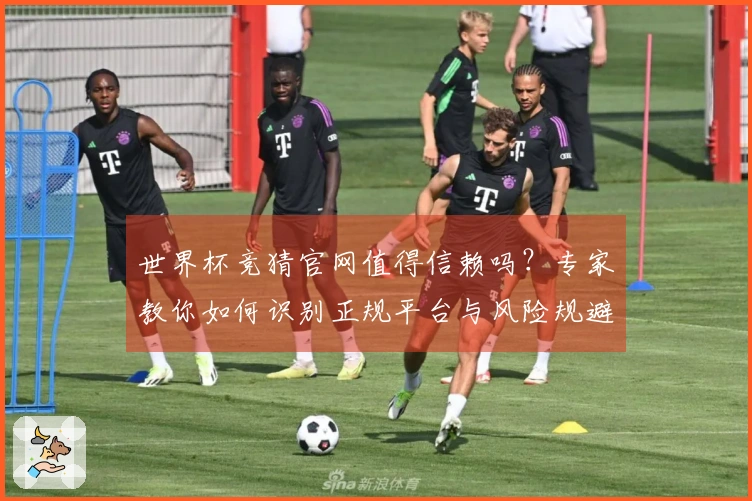 世界杯竞猜官网值得信赖吗?专家教你如何识别正规平台与风险规避技巧