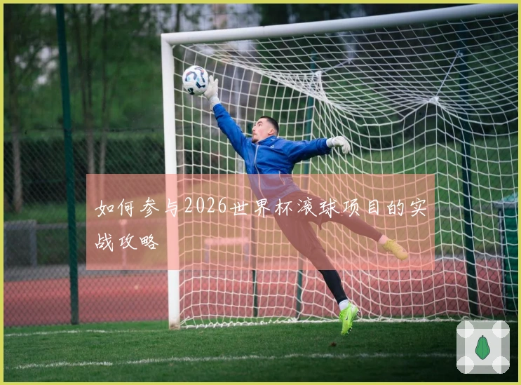 如何参与2026世界杯滚球项目的实战攻略